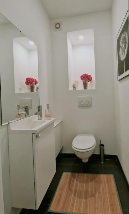 Le Cocon Du Midi - Appartement Cosy بروكسل المظهر الخارجي الصورة